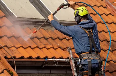 Démoussage et hydrofuge de toiture à Savins